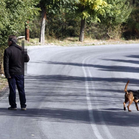 Κυνηγός με σκυλιά σε δρόμο 