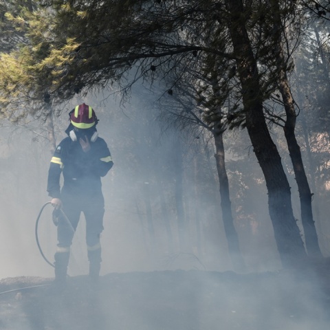 Πυροσβέστης με μάνικα επιχειρεί για την κατάσβεση φωτιάς