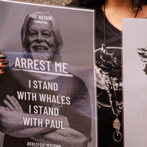 Πολ Γουότσον