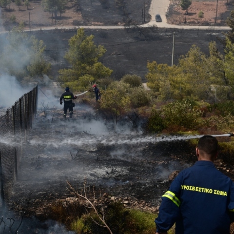 Φωτιά στην Αττική: Εκκενώνονται Πάτημα Χαλανδρίου και Βριλησσίων