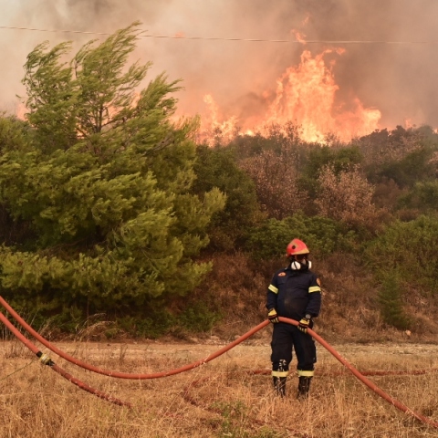 Φωτιά στην Αττική: Έκκληση της ΕΛΑΣ προς τους πολίτες