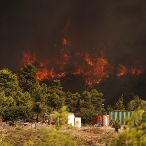 Φωτιά στην Αττική: Εκκενώνονται Ντράφι, Διώνη και Δασαμάρι 