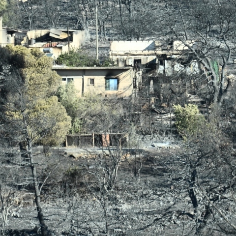 Λέκκας για φωτιά Αττική: Γιατί είναι δύσκολο να ελεγχθεί σε αστικό χώρο