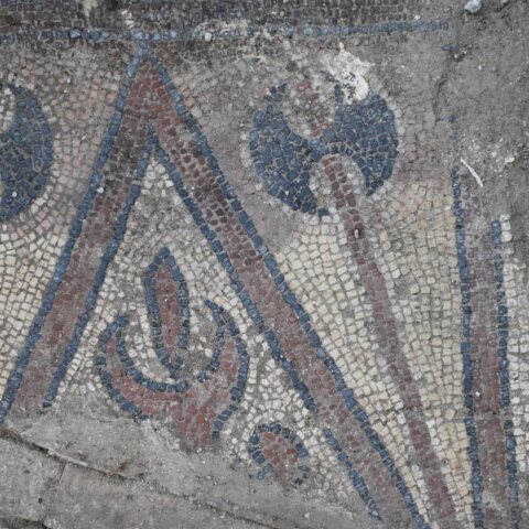 Τμήμα του εντυπωσιακού ψηφιδωτού 