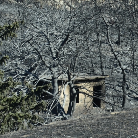 «Οι κυβερνώντες ψάχνουν δικαιολογίες, οι αντιπολιτευόμενοι ψάχνουν ευθύνες, οι δημοσιογράφοι ανοίγουν το μπλοκάκι με τα κλισέ καταστροφής»