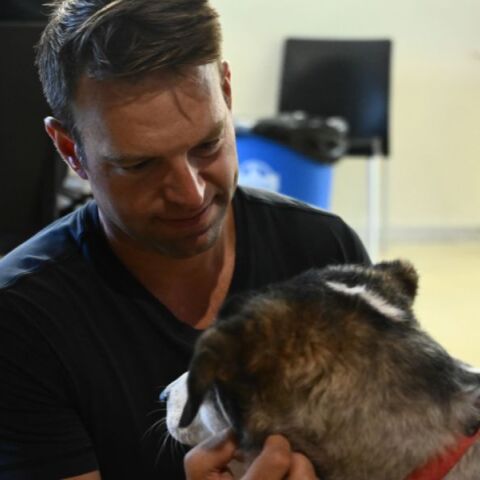 Στέφανος Κασσελάκης: Ο πρόεδρος του ΣΥΡΙΖΑ κίνησε τη διαδικασία για τη φιλοξενία και την υιοθεσία σκύλου από τη δομή φιλοξενίας στο Γαλάτσι.