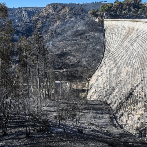 Meteo: Το 37% των δασών της Αττικής κάηκε τα 8 τελευταία χρόνια