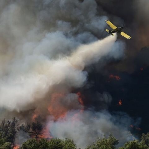 Πυροσβεστική: 30 πυρκαγιές το τελευταίο εικοσιτετράωρο σε όλη τη χώρα - Σε ποιες περιοχές συνεχίζεται η μάχη με τις φλόγες.