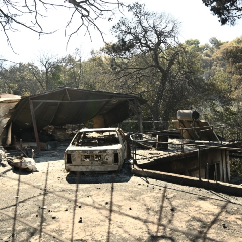 Φωτιά στην Αττική: Κάνουν πλιάτσικο στα καμμένα 