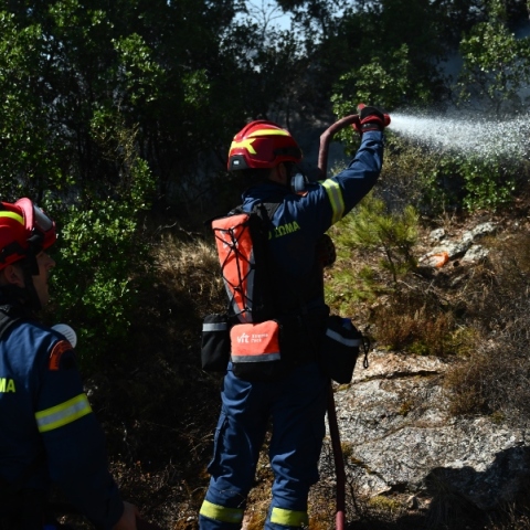 Πυροσβέστης επιχειρεί σε πυρκαγιά
