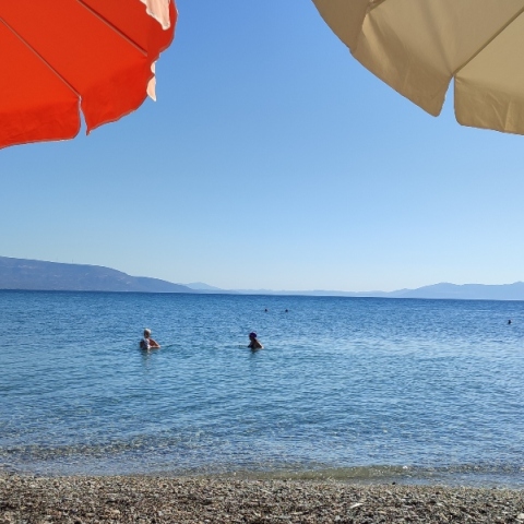 August Voice - Ημερολόγια Αυγούστου: Οι συνεργάτες της Athens Voice γράφουν για το δικό τους καλοκαίρι