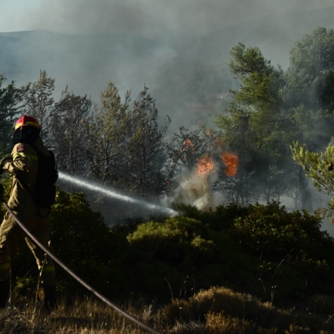 Kίνδυνος πυρκαγιάς: Πολύ υψηλός το Σάββατο σε 6 Περιφέρειες