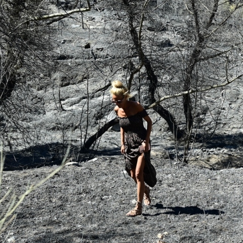 Φωτιά στην Αττική