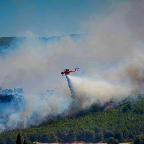 Φωτιά τώρα στην Εύβοια στους Ζάρακες
