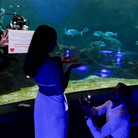 Πρόταση γάμου στο ενυδρείο Ηρακλείου σην Κρήτη
