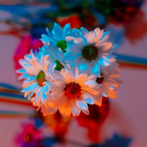 Εορτολόγιο: Σήμερα 20 Αυγούστου 2024 γιορτάζει…