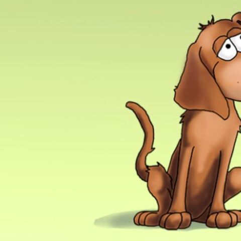 Αρκάς: Η «Καλημέρα» με το βλέμμα του σκύλου όταν τρώμε