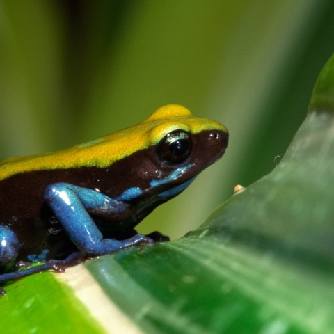 Κλιματική αλλαγή: Επιπτώσεις στον κόσμο που δε γνωρίζαμε