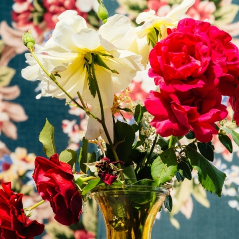 Εορτολόγιο: Σήμερα 25 Αυγούστου 2024 γιορτάζει…