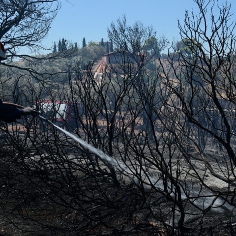 Φωτιά στην Πρέβεζα: Υπό έλεγχο η πυρκαγιά