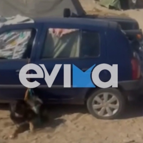 Εύβοια: Κλείδωσαν σκύλο σε αυτοκίνητο για ώρες