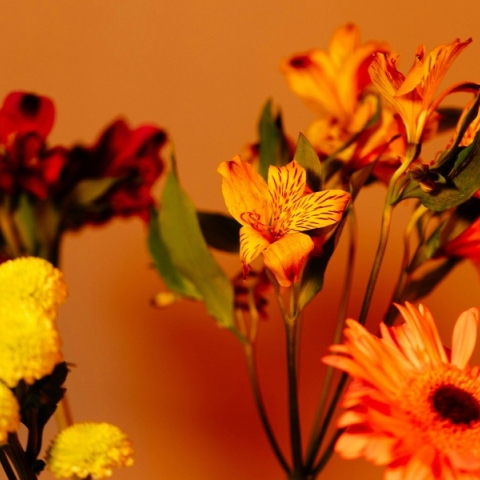 Εορτολόγιο: Σήμερα 27 Αυγούστου 2024 γιορτάζει…