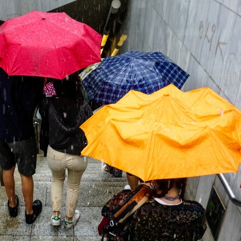 Πολίτες με ομπρέλες προστατεύονται από τη βροχή