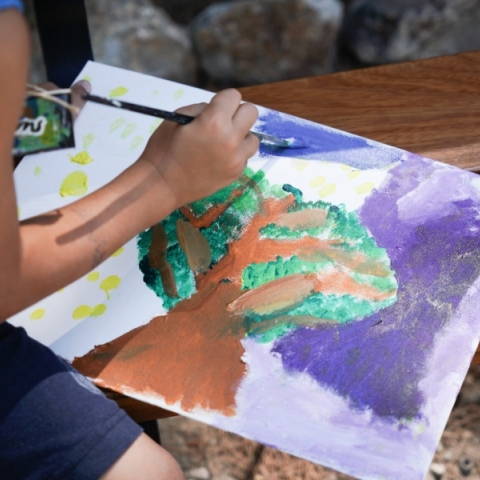 Δήμος Αθηναίων: Παράταση προγράμματος «Αγκαλιά με ένα δέντρο συνυπάρχω»