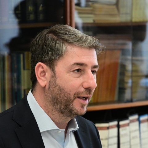 Νίκος Ανδρουλάκης