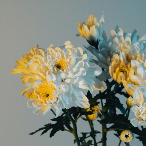 Εορτολόγιο: Σήμερα 11 Δεκεμβρίου 2024 γιορτάζει…