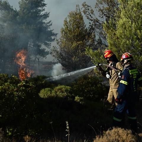 Πυροσβέστες επιχειρούν για την κατάσβεση φωτιάς