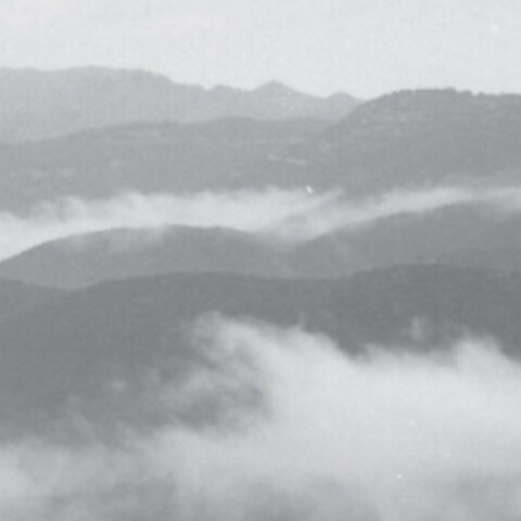 Τάσος Πορφύρης: Σπαραγμένη μνήμη