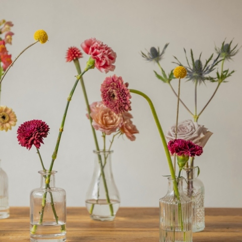 Εορτολόγιο: Σήμερα 4 Σεπτεμβρίου 2024 γιορτάζει…