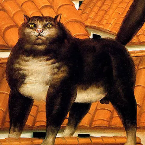 Οι δουλειές που έχω κάνει στη ζωή μου, και ένας κεραμιδόγατος