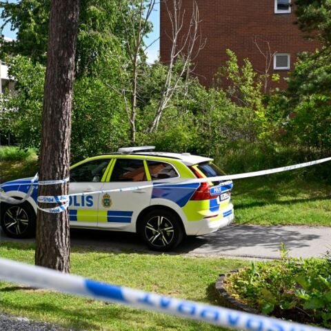 Αστυνομία Σουηδία