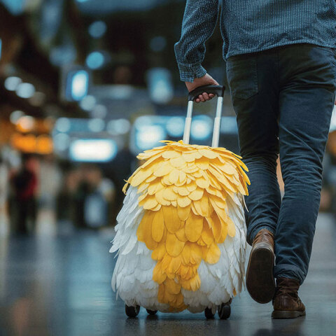 Εύκολα Ανιχνεύσιμοι: Η καμπάνια κατά της παράνομης εμπορίας άγριων ζώων