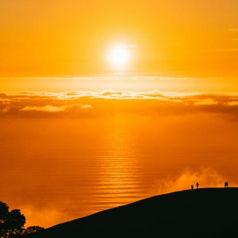 Copernicus: Το καλοκαίρι του 2024 ήταν το πιο ζεστό που καταγράφτηκε ποτέ στη Γη