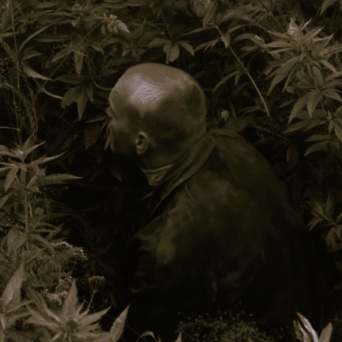 Το hype με τον Ταρκόφσκι, και όσα δεν έκανα στη ζωή μου