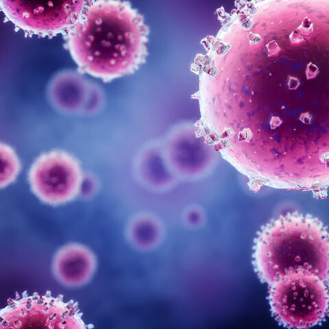 Ο αναπνευστικός συγκυτιακός ιός και το νέο εμβόλιο: Ο γιατρός Γιώργος Παππάς απαντά