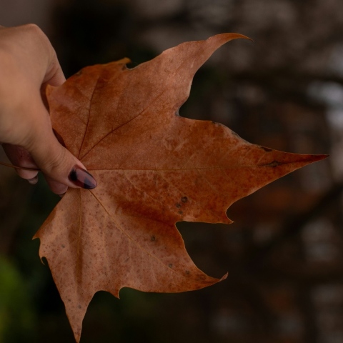 Φθινοπωρινό μανικιούρ: Η νέα τάση από την Χείλι Μπίμπερ 