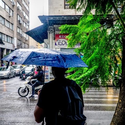 Άτομο προστατεύεται με ομπρέλα από καταιγίδα