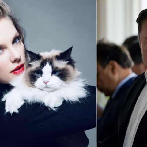 Έλον Μασκ: Σκωπτική ανάρτηση του δισεκατομμυριούχου μετά την ανακοίνωση της τραγουδίστριας ότι στηρίζει την Κάμαλα Χάρις για τις αμερικανικές εκλογές.