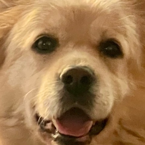 Καλοκαίρι: Αναγνώσεις, αναρρώσεις, απώλειες