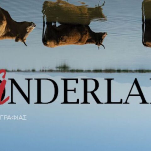 Έκθεση φωτογραφίας μαθητών της Σχολής Luz Visual Studies «Wanderland»