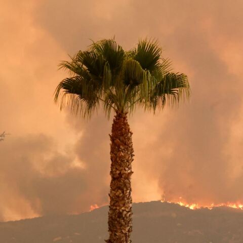 Λος Άντζελες: Σε πύρινο κλοιό η πόλη, δεκάδες σπίτια έγιναν στάχτη - Μέσα σε 24 ώρες σχεδόν 200.000 στρέμματα γης κάηκαν
