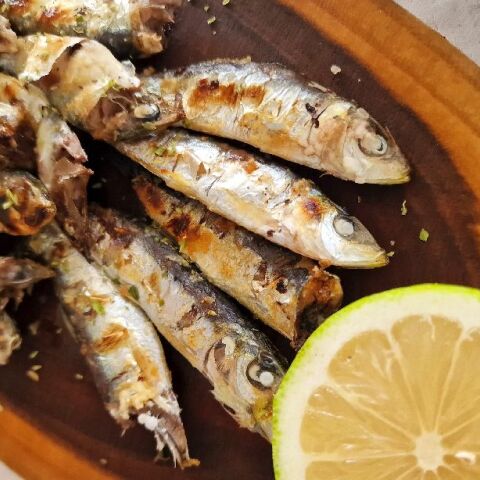 Ταβέρνα Μυρταριά, Κορωνησία