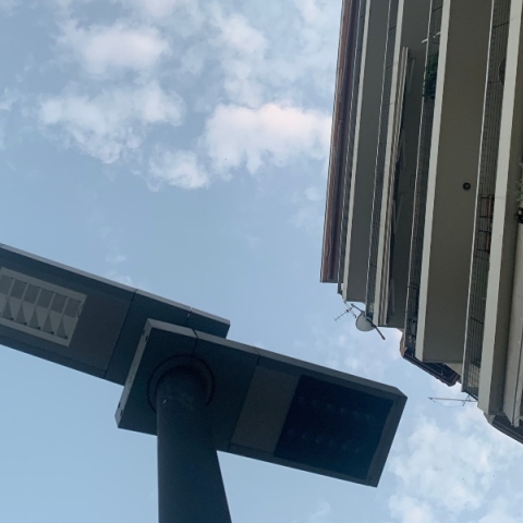 Η τιμή του καφέ, τα δημόσια γλυπτά, ένα Τσιγγανάκι, και η Έμα Στόουν