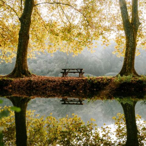 Εορτολόγιο: Σήμερα 15 Σεπτεμβρίου 2024 γιορτάζει… 