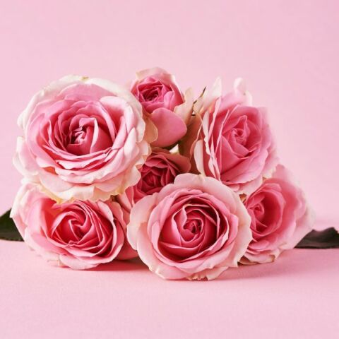 Εορτολόγιο: Ποιοι γιορτάζουν σήμερα;