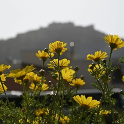 Καιρός: Βελτιωμένος την Κυριακή 22 Σεπτεμβρίου με τοπικές βροχές - Η αναλυτική πρόγνωση του meteo και της Εθνικής Μετεωρολογικής Υπηρεσίας. 